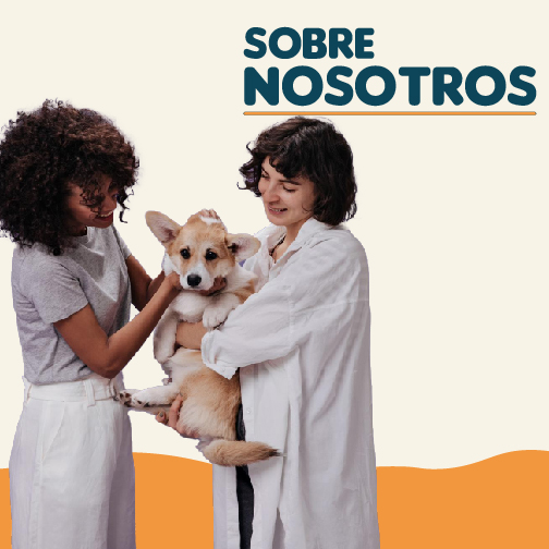Sobre Nosotros